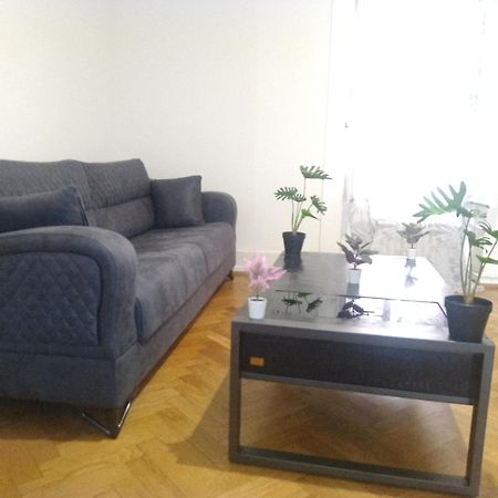 Charming Flat Center And Near The Lake جنيفا المظهر الخارجي الصورة