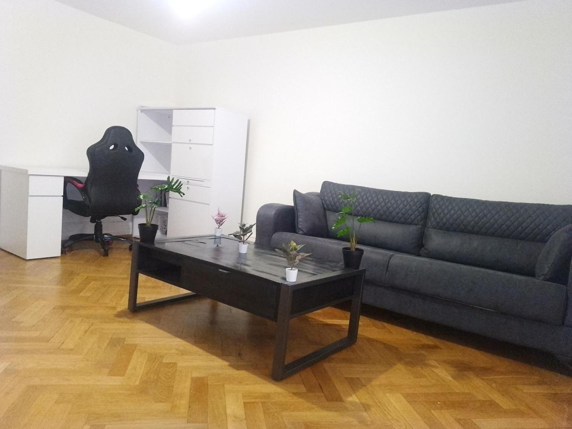 Charming Flat Center And Near The Lake جنيفا المظهر الخارجي الصورة
