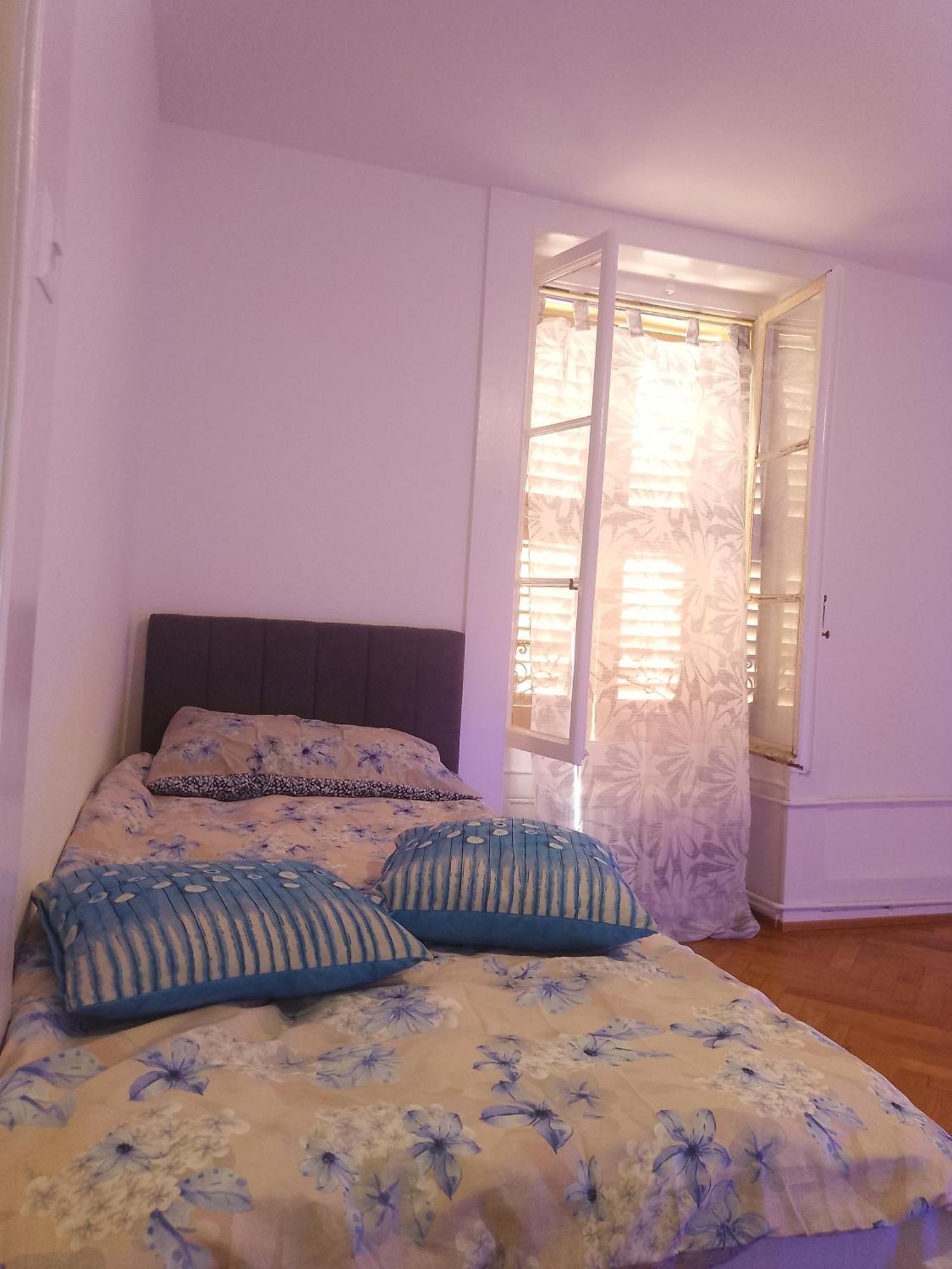 Charming Flat Center And Near The Lake جنيفا المظهر الخارجي الصورة