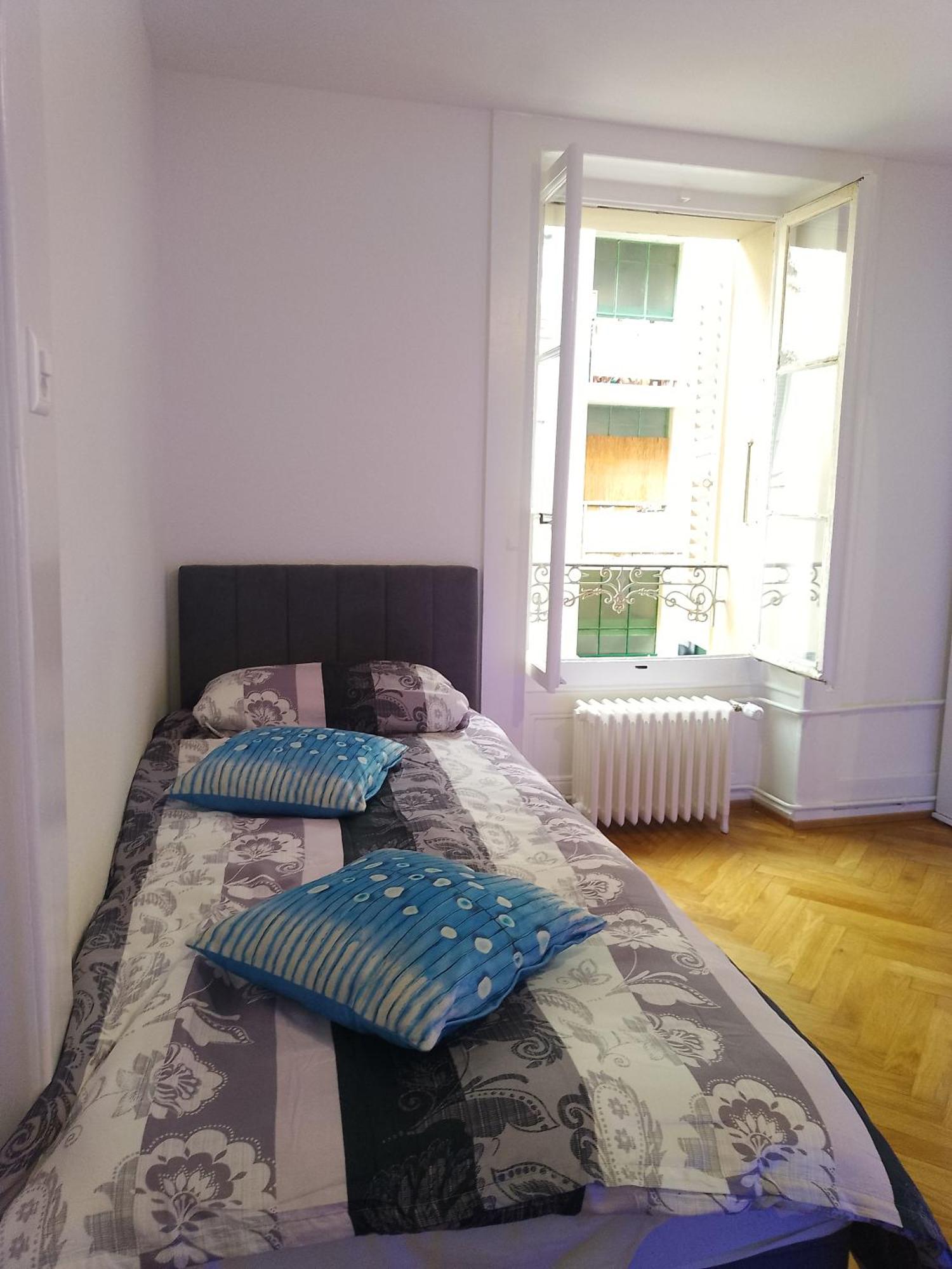 Charming Flat Center And Near The Lake جنيفا المظهر الخارجي الصورة